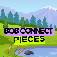 BOB Connect Pieces