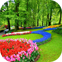 Garden Wallpaper 4K
