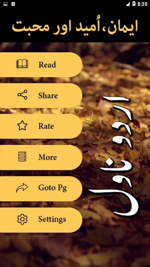 Iman Umeed Aur Mohabbat by Umera Ahmed - Offline Screenshot 1