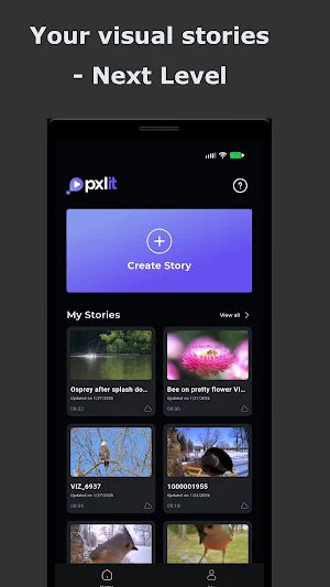 Pxlit: Stabilized Video Editor Screenshot 3