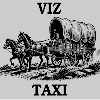 VIZ Driver