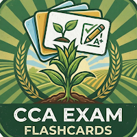 CCA Exam Flashcards