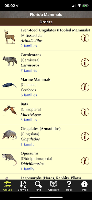 Florida Mammals Screenshot 2