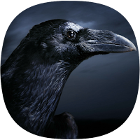 Crow Ringtones