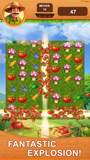 Village Farm Match 3 Screenshot 0