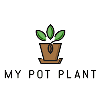 My Pot Plant