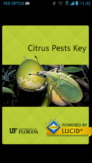 Citrus Pests Key Screenshot 0