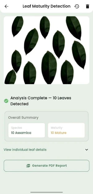 iTeaGrow Screenshot 3