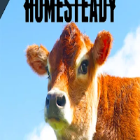 Homesteading of the Grid Life