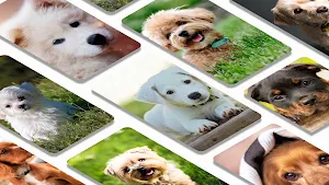 Puppy wallpaper background Screenshot 1