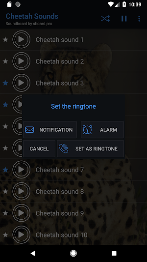 Cheetah (animal) sounds ~ Sboard.pro Screenshot 2