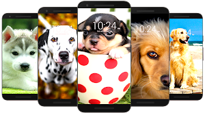 🐶 Puppy & Dog Wallpaper HD 🐶 Screenshot 0