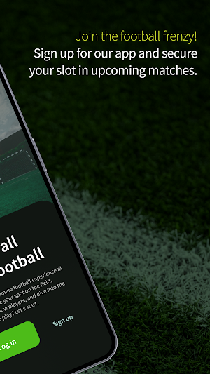 Ballhola Screenshot 1