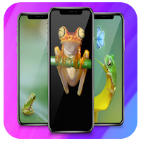 Frog Wallpaper Cute