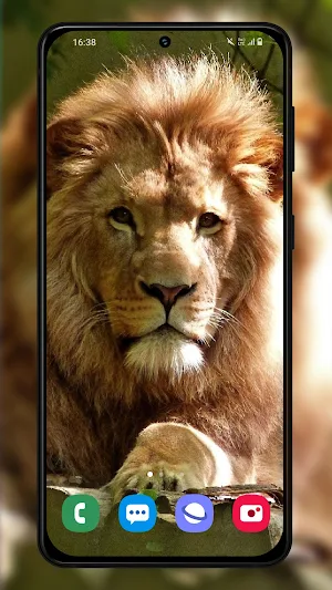 Wild animal wallpapers 4K Screenshot 3