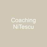Coaching NiTescu