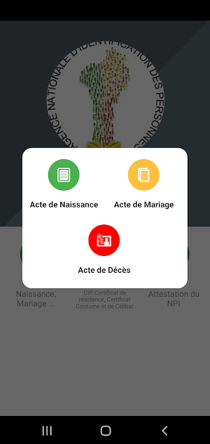 ANIP BJ Screenshot 2
