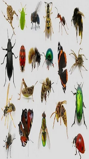 Insects Screenshot 0