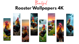 Rooster Wallpaper Screenshot 0