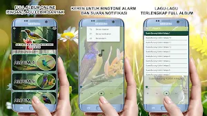 Suara Burung Kolibri Kelapa Screenshot 2