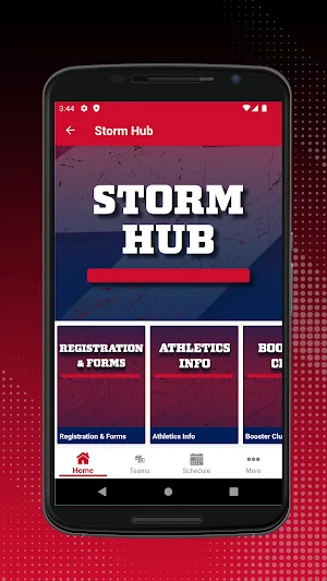 South Elgin Storm Screenshot 3