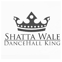 Shatta Wale Music