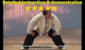 Eight Brocades Qigong Standing (YMAA) Screenshot 3
