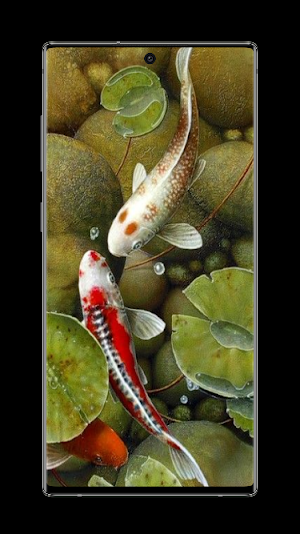 Water Garden Wallpaper Screenshot 2