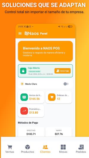 Naos POS Screenshot 2