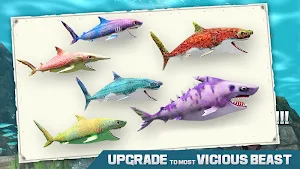 Shark Attack Wild Simulator 2019 Screenshot 1
