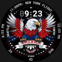 USA Eagle Watch Face 159