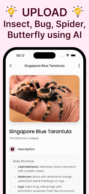 Insect ID: Bug Identifier AI Screenshot 1