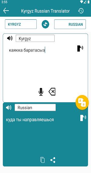 Kyrgyz Russian Translation Screenshot 2