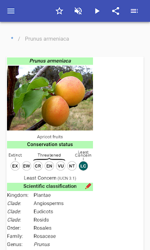 Fruit trees Screenshot 1