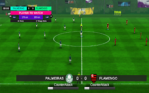 Campeonato Brasileiro 3D Screenshot 0