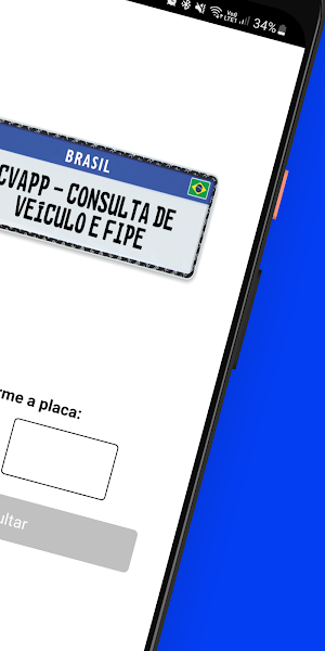 Consulta Placa de Veículos Screenshot 1