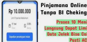 Pinjol Tanpa Bi Checking Info Screenshot 1