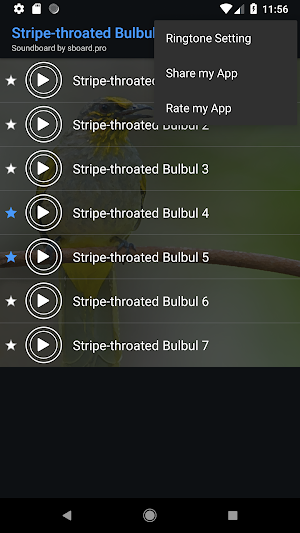Stripe-throated Bulbul bird Sounds ~ Sboard.pro Screenshot 3