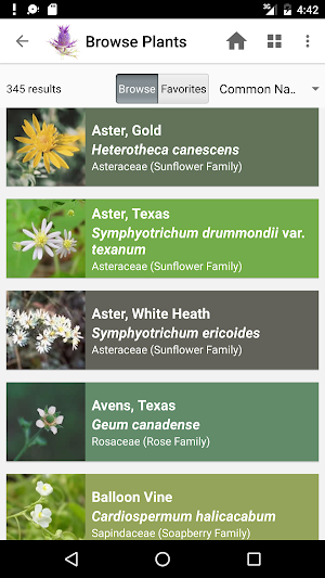 Flora of Texas: FW Prairie Screenshot 2