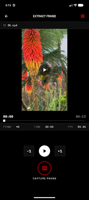 Extract Frame From Video Screenshot 2