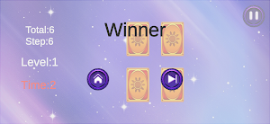 Mnemoflick Screenshot 3