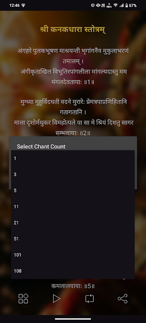 Kanakdhara Stotra With Audio Screenshot 3