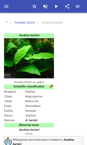 Aquarium plants Screenshot 2