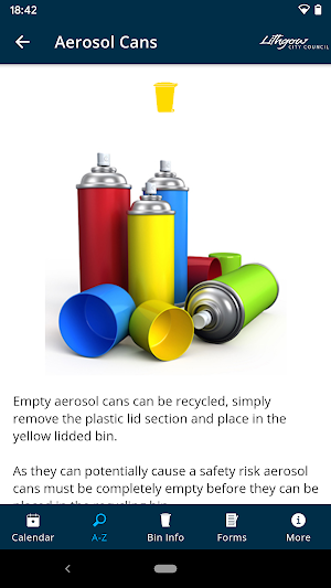 Lithgow Council Waste Screenshot 2