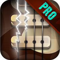 Bass Guitar Funk PRO