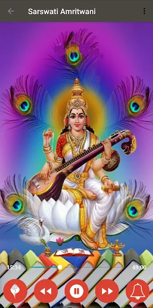 Sarswati Maa Amritwani Screenshot 2