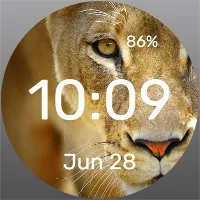 Lioness WatchFace