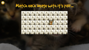 Pair All The Kittens Screenshot 3