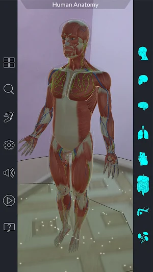 Ar Human Anatomy Screenshot 1