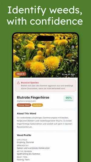 Lawn Scan - Grass & Weed ID Screenshot 2
